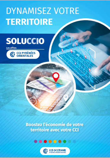 Logo soluccio dev dur