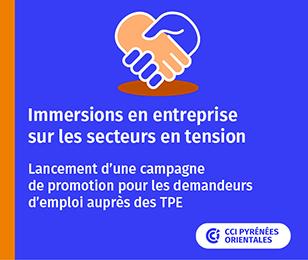 Immersions en entreprise