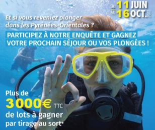 Affiche enquête plongée