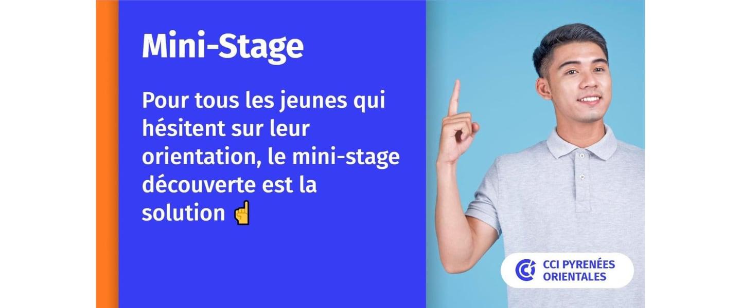 Mini Stage